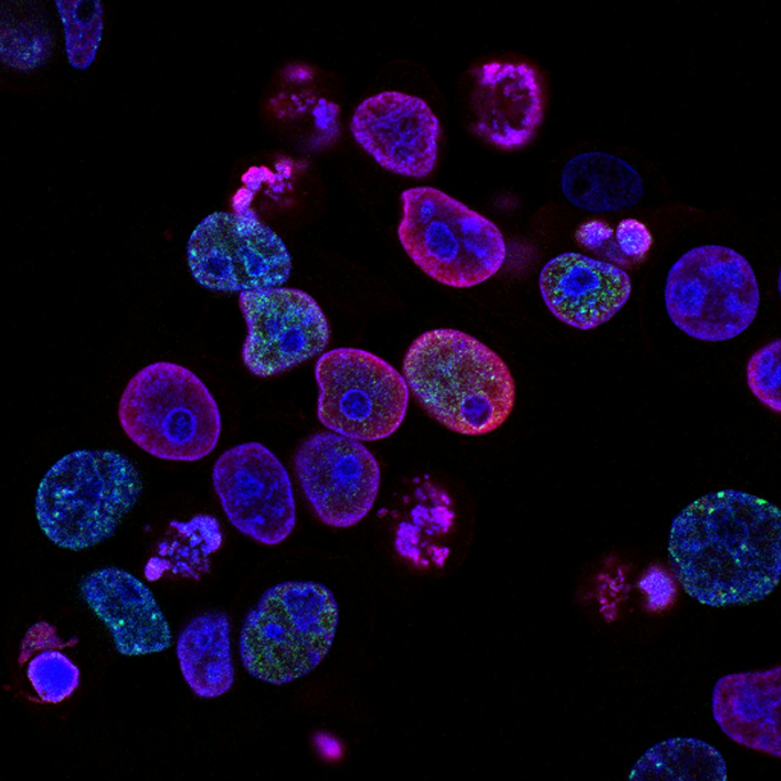 Scientific research environment for molecular study